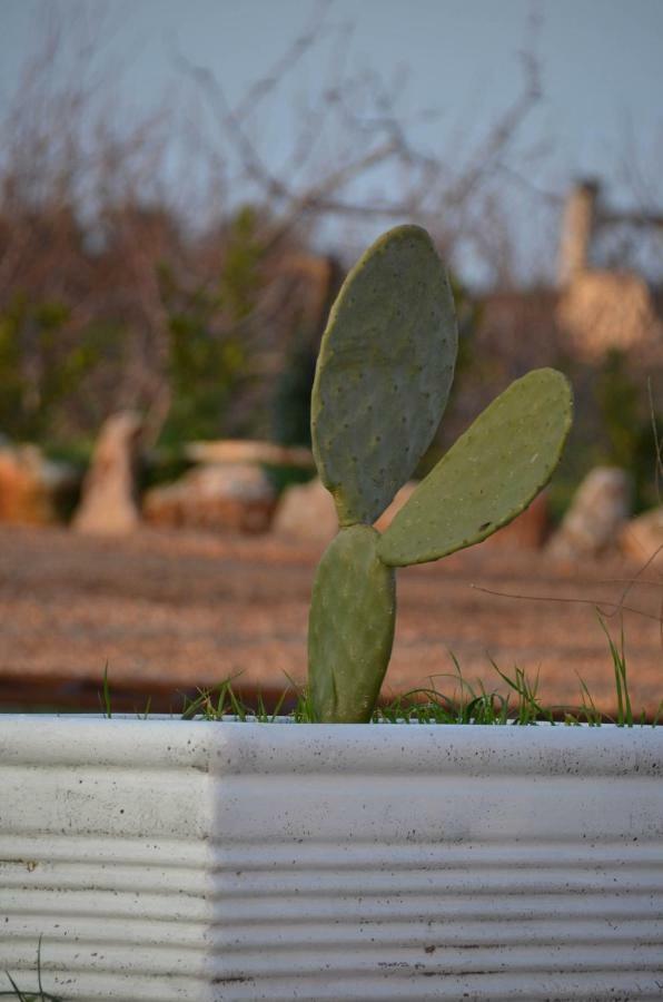 Masseria Poli Country House Conversano Exteriér fotografie